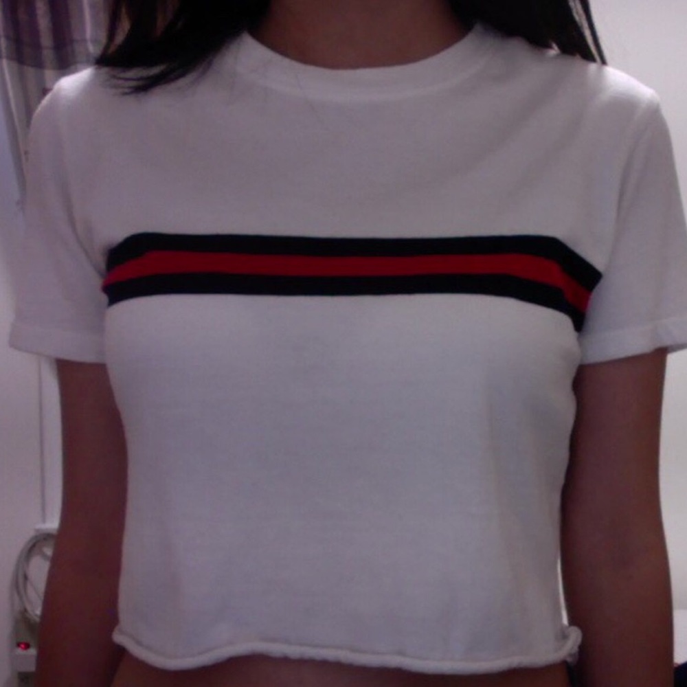 brandy melville john galt crop top